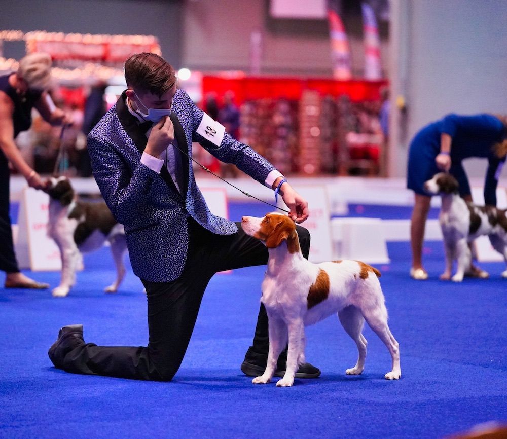 The Gossip Column, February 19, 2021